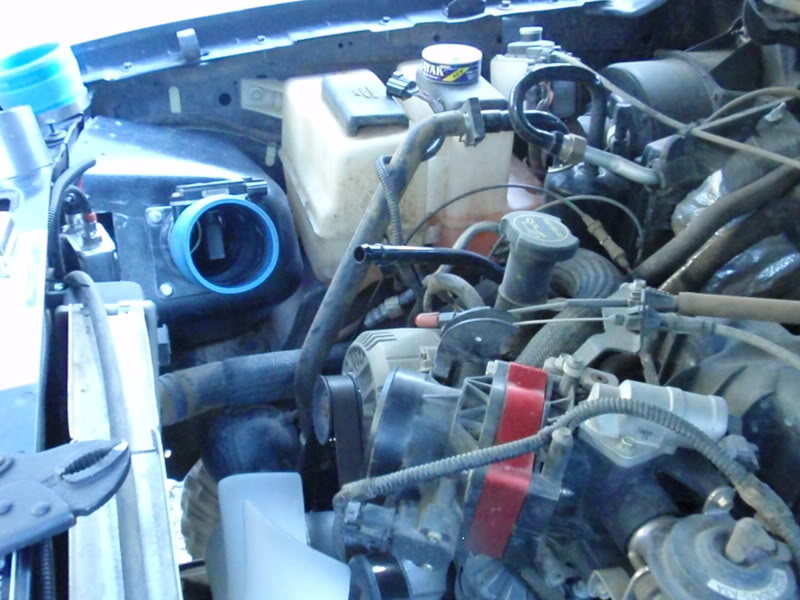 Name:  P9100329.jpg
Views: 1834
Size:  93.3 KB