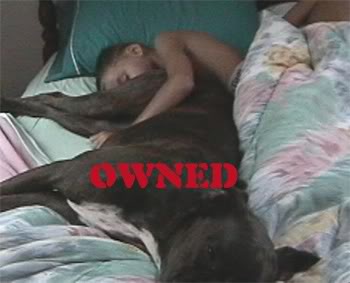 Name:  owned-dogass.jpg
Views: 187
Size:  16.2 KB