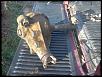 7.5 and dana 35 axles 3.73 gears MO-2012-10-28_16-40-05_928.jpg