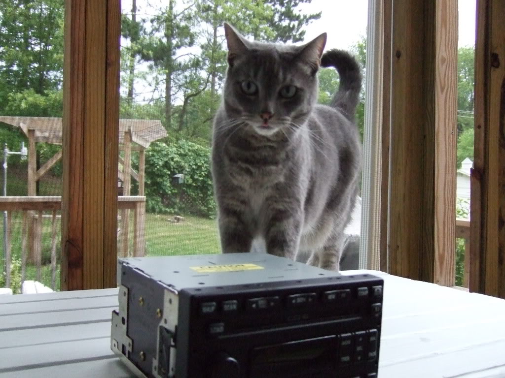 Name: radio004.jpg
Views: 487
Size: 170.1 KB