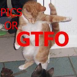 Name:  gtfo.jpg
Views: 61
Size:  14.7 KB