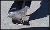 Black Fiberglass Fenders For Sale or Trade 6" bulge Ranger - CA-imag2791.jpg