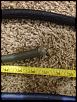 Misc car audio wiring,amps, and subs Mobile,AL-3803280c-7f07-48b1-98df-a93cecca4996-666-00000050dc318c4f.jpg