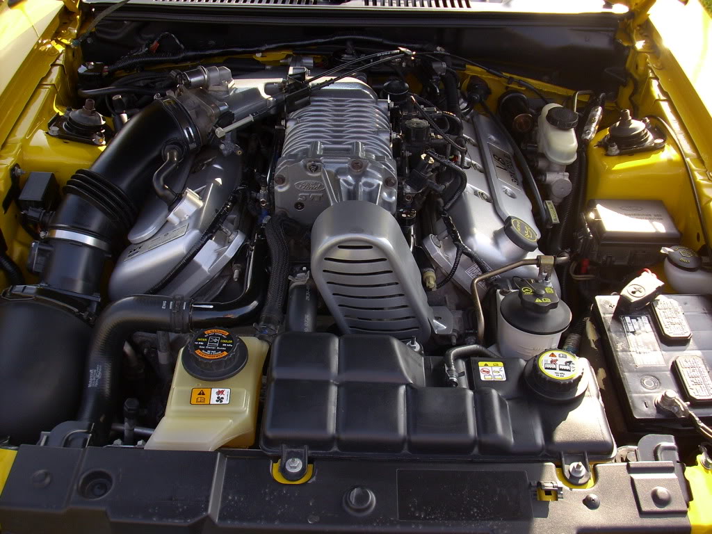 Name:  DSCI1375.jpg
Views: 175
Size:  165.6 KB