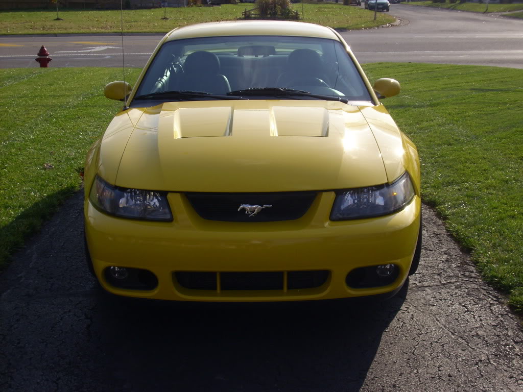 Name:  DSCI1379.jpg
Views: 221
Size:  146.6 KB