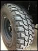 33&quot; Hercules Trail Diggers on ProComp 98's- FL-iphone2-3275.jpg