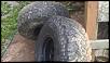 35x12.5x15 BFG KM1 tires - NC-imag0372.jpg