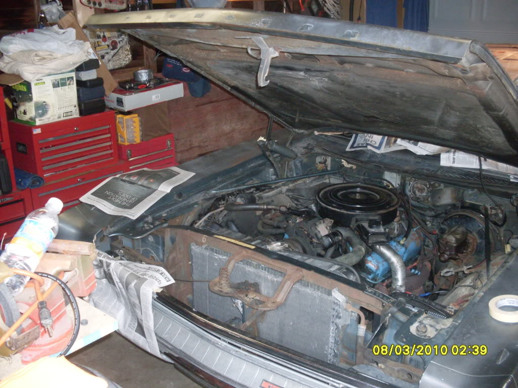 Name:  SDC10002.jpg
Views: 343
Size:  193.0 KB