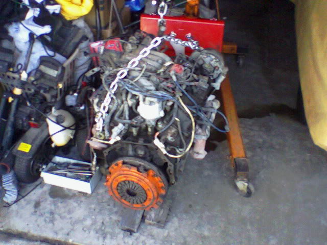Name: Photo-0198.jpg
Views: 225
Size: 62.5 KB