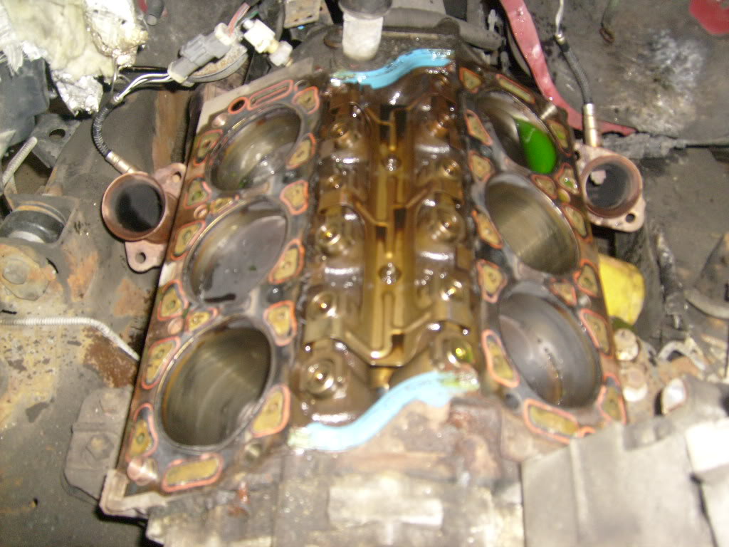 Name: Picture159-1.jpg
Views: 129
Size: 148.5 KB