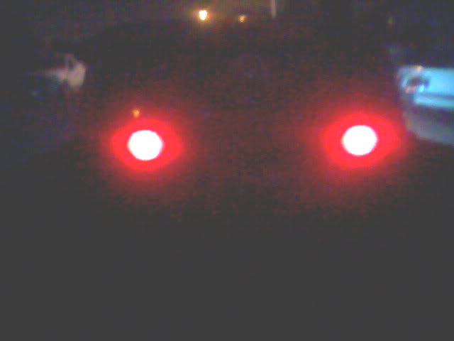 Name:  1266511688.jpg
Views: 181
Size:  15.5 KB
