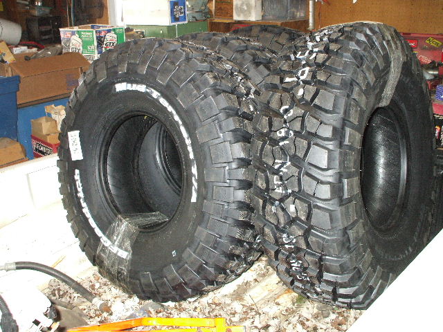 Name:  2010_0113xmas500066.jpg
Views: 118
Size:  105.5 KB