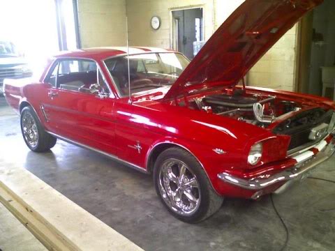 Name:  stang1.jpg
Views: 533
Size:  33.0 KB