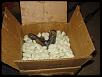 08' ranger SAS build up-dsc00912.jpg