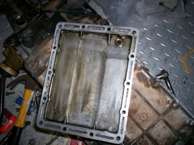 Name: 100_2937.jpg
Views: 7052
Size: 84.4 KB