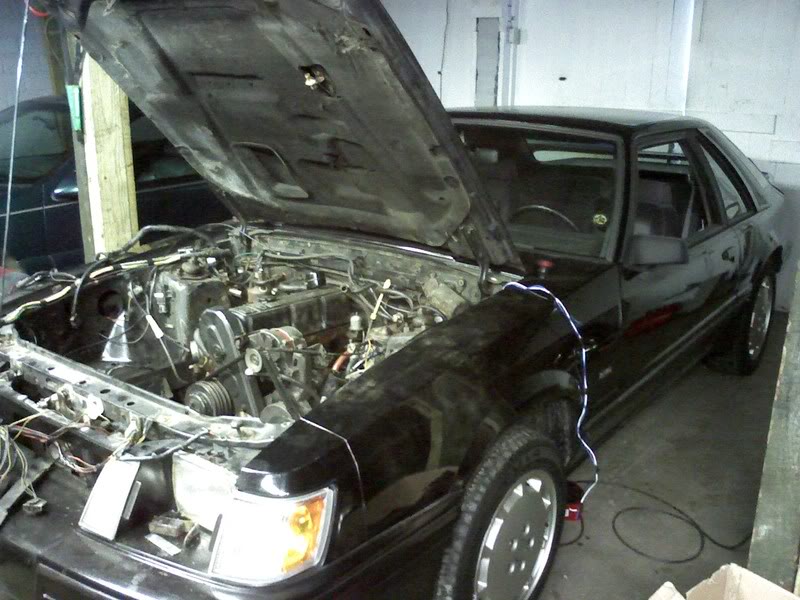 Name: PIC-0012.jpg
Views: 411
Size: 91.9 KB