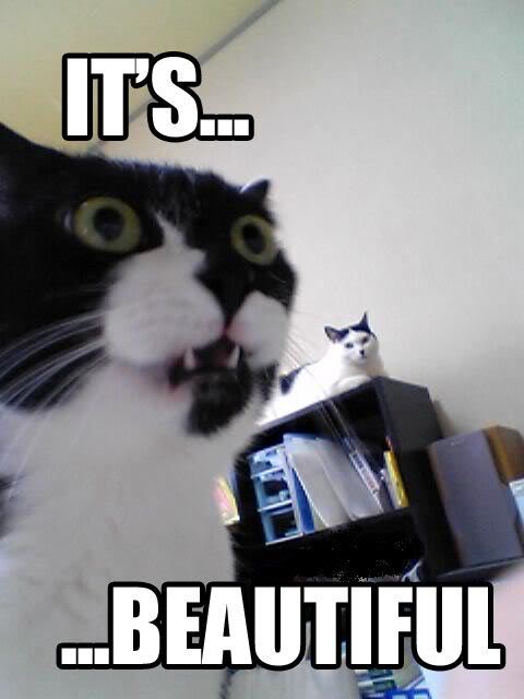 Name: its-beautiful.jpg
Views: 431
Size: 30.1 KB