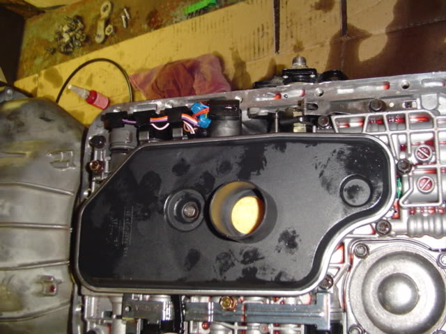 Name: DSC01848.jpg
Views: 2782
Size: 64.4 KB