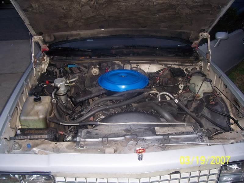 Name: 100_9949.jpg
Views: 304
Size: 83.2 KB