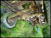 Project Rebuild Leroy-dscn0532.jpg