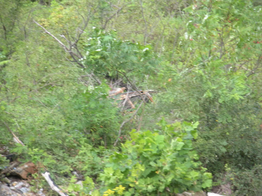 Name:  DSCN2360.jpg
Views: 64
Size:  183.5 KB