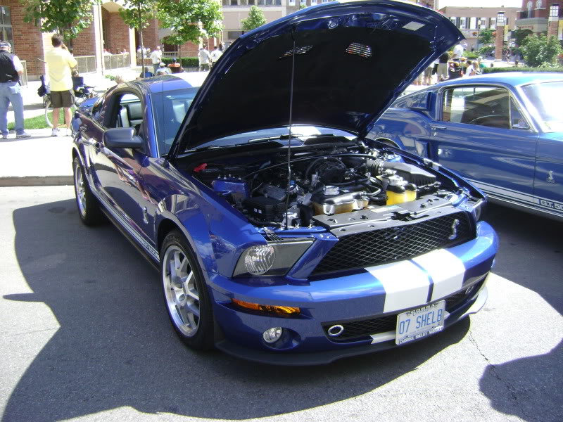 Name: 316.jpg
Views: 106
Size: 140.8 KB