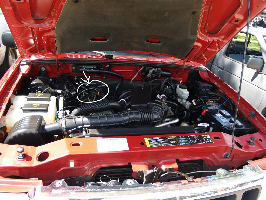 Name:  P1014539a.jpg
Views: 64
Size:  141.2 KB