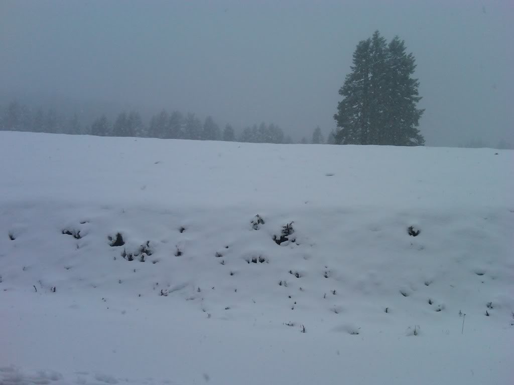 Name: mp1.jpg
Views: 149
Size: 33.4 KB