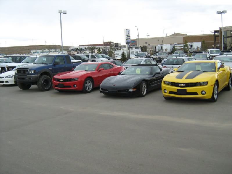 Name:  013d8604.jpg
Views: 106
Size:  65.9 KB