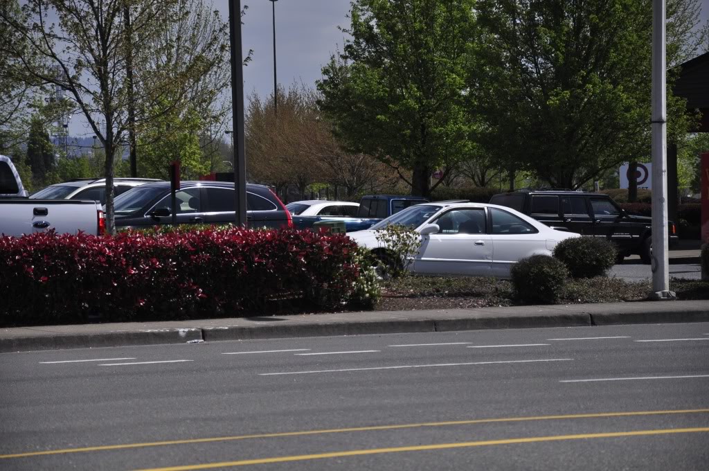 Name:  20100422_0267.jpg
Views: 111
Size:  175.0 KB