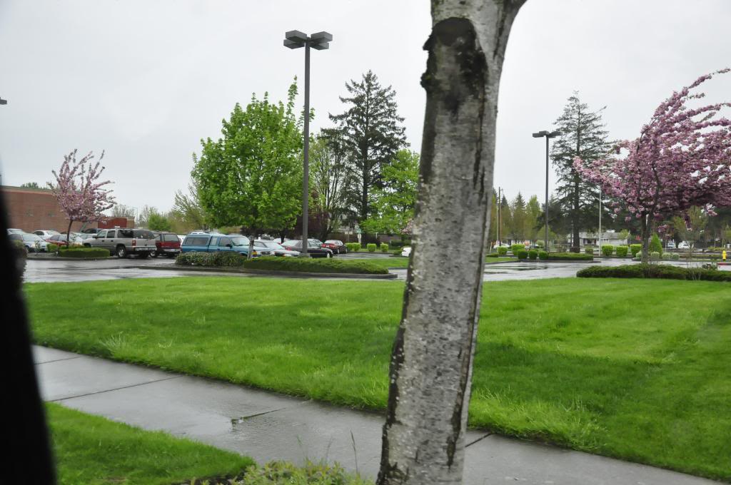 Name:  20100420_0332.jpg
Views: 117
Size:  108.3 KB