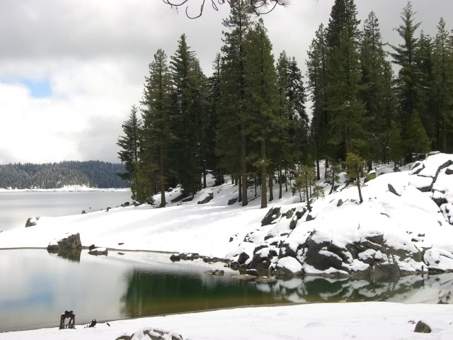 Name:  CIMG2996.jpg
Views: 62
Size:  100.4 KB