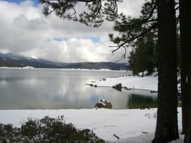 Name:  CIMG2995.jpg
Views: 57
Size:  87.7 KB