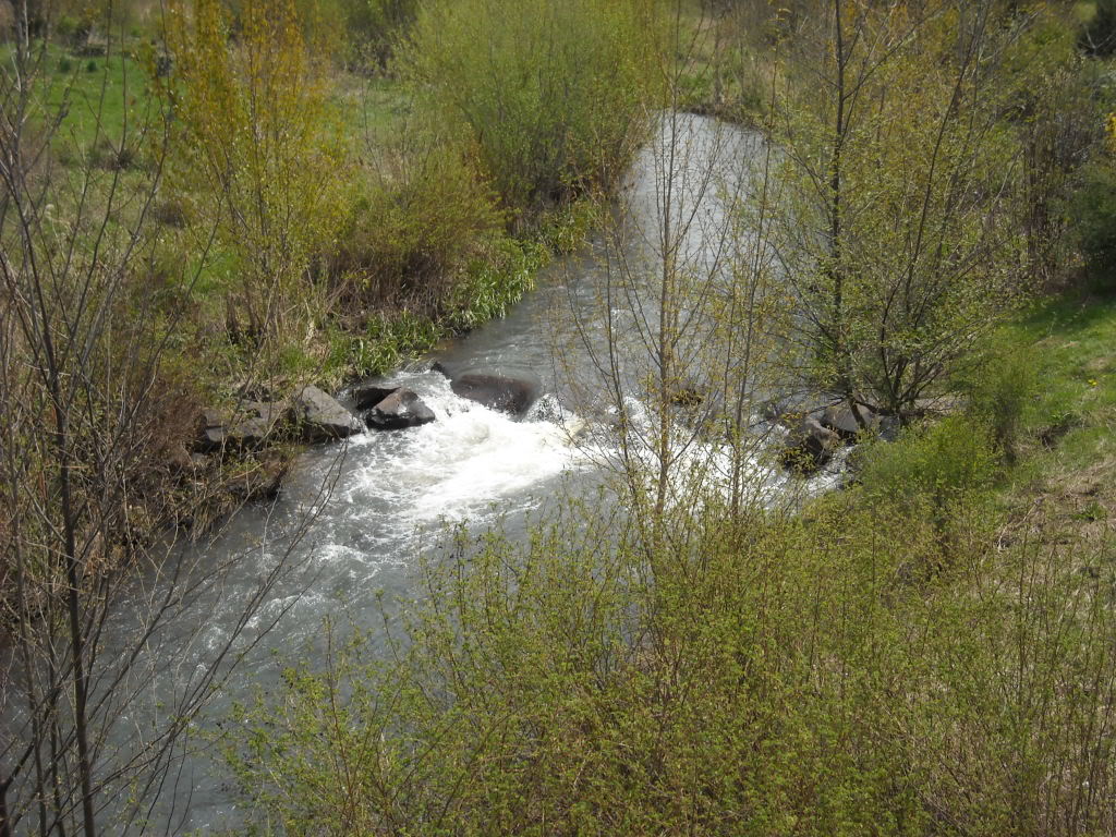Name:  DSCN3904.jpg
Views: 74
Size:  255.6 KB