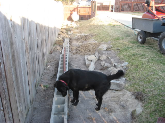 Name: IMG_3612.jpg
Views: 52
Size: 77.2 KB