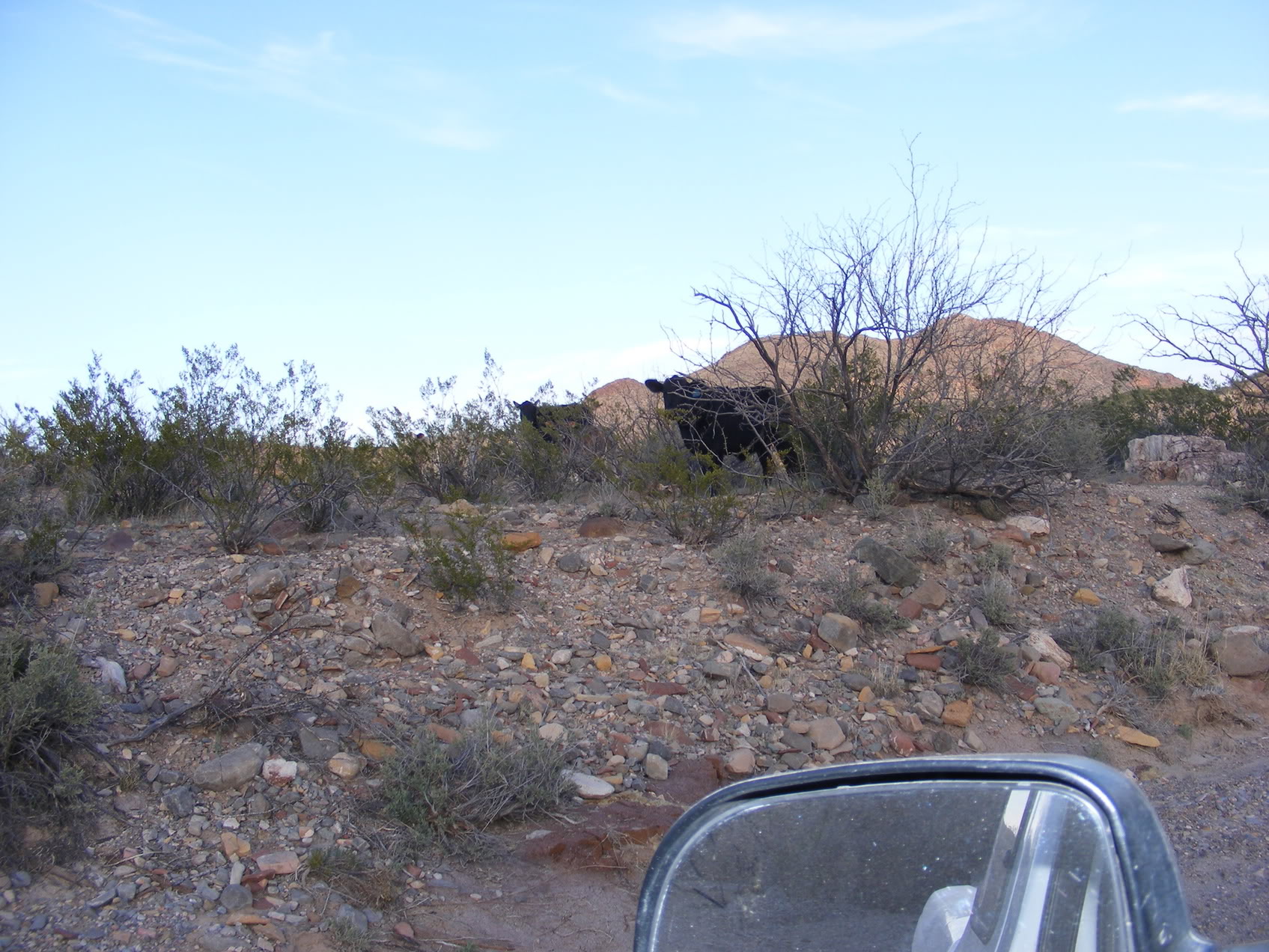 Name: 017.jpg
Views: 79
Size: 427.7 KB