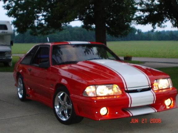 Name:  mustang3.jpg
Views: 35
Size:  45.5 KB