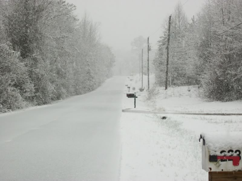 Name:  100_0985.jpg
Views: 76
Size:  91.0 KB