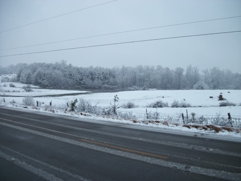 Name:  100_1018.jpg
Views: 48
Size:  79.6 KB