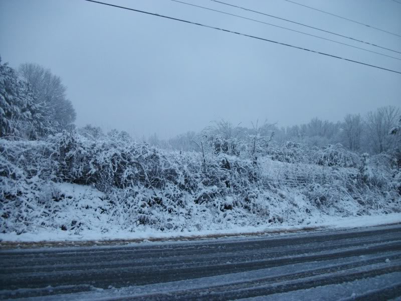 Name:  100_1019.jpg
Views: 72
Size:  112.6 KB