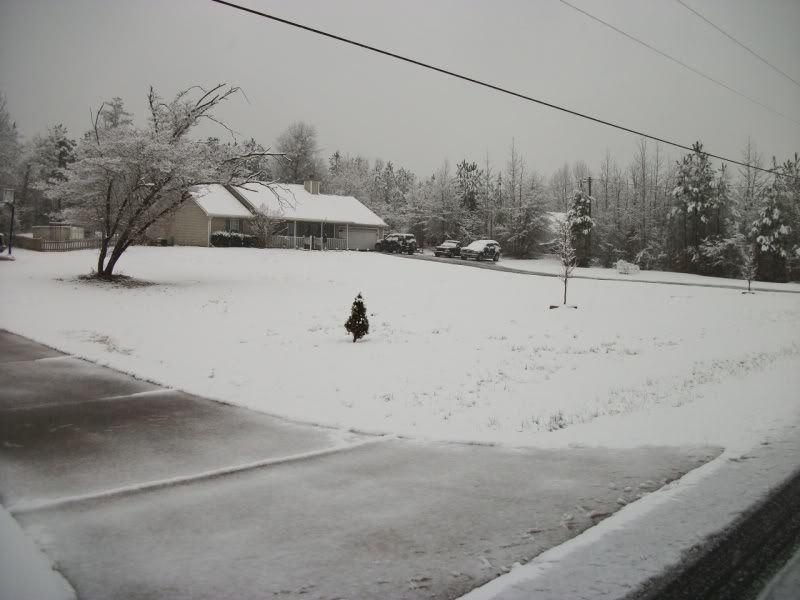 Name:  100_1003.jpg
Views: 72
Size:  78.1 KB