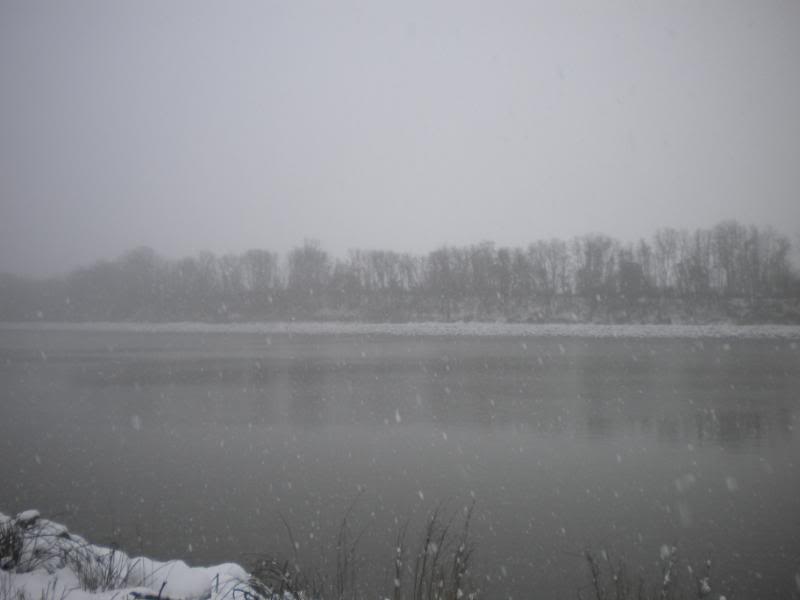 Name:  pics042.jpg
Views: 48
Size:  28.1 KB