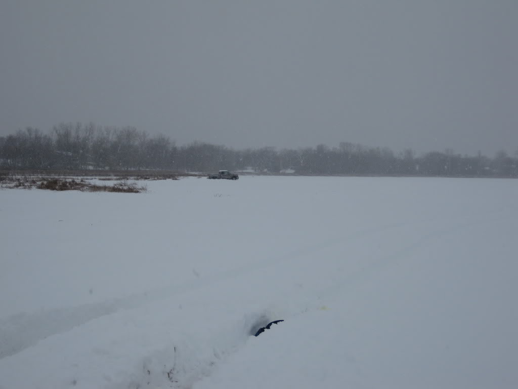 Name: Xmas09099.jpg
Views: 228
Size: 31.4 KB