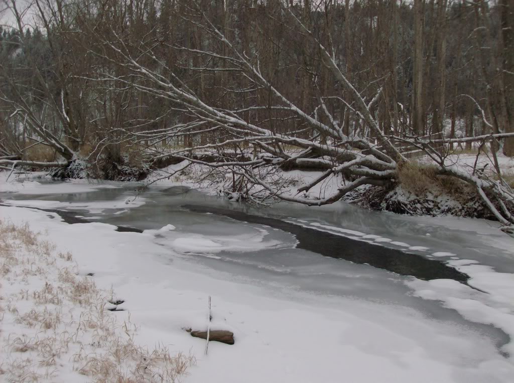 Name:  rangerriver011.jpg
Views: 77
Size:  166.0 KB