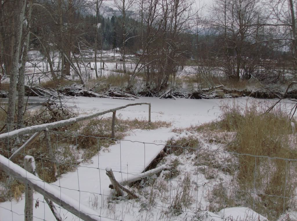 Name:  rangerriver007.jpg
Views: 105
Size:  232.5 KB