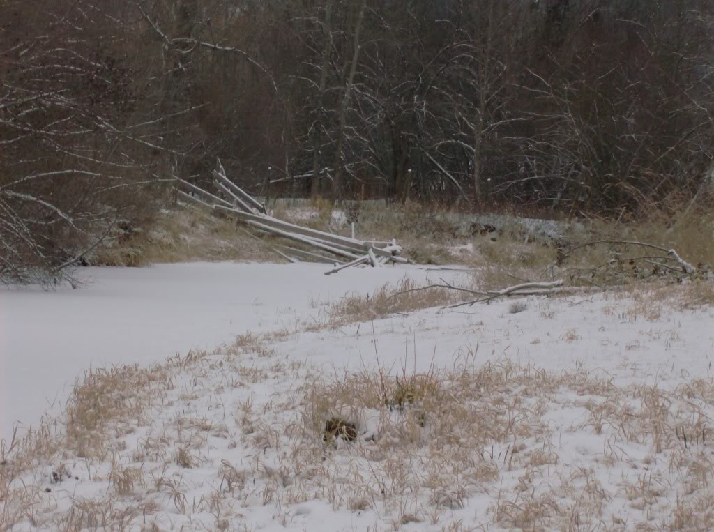 Name:  rangerriver006.jpg
Views: 80
Size:  147.7 KB