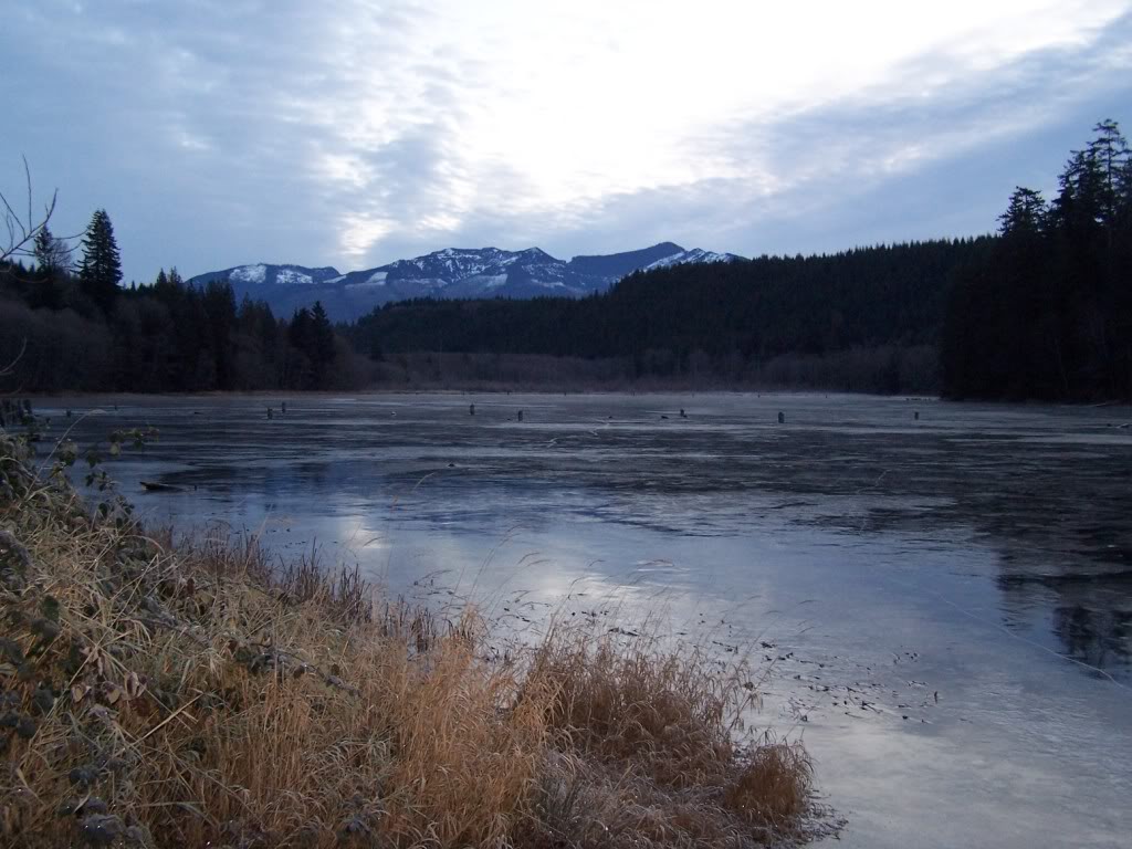 Name: 103_7393.jpg
Views: 153
Size: 125.6 KB