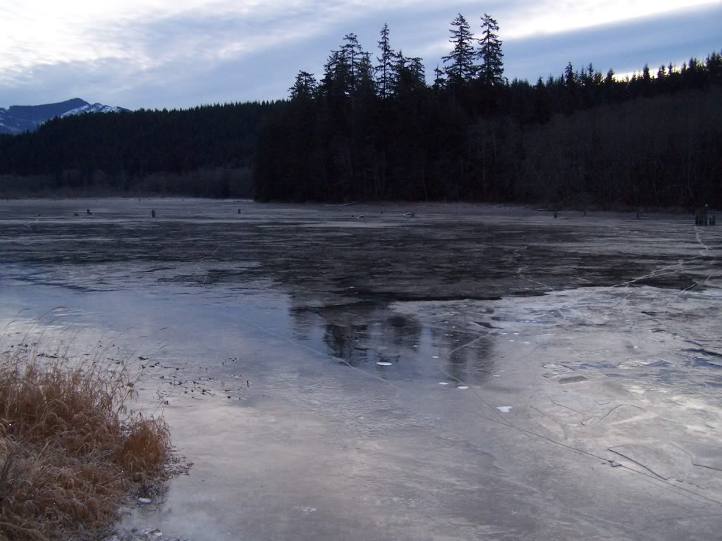 Name: 103_7394.jpg
Views: 162
Size: 112.4 KB