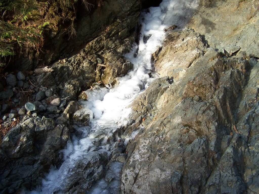 Name: 103_7452.jpg
Views: 168
Size: 216.8 KB