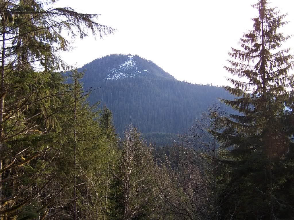 Name: 103_7454.jpg
Views: 186
Size: 189.0 KB